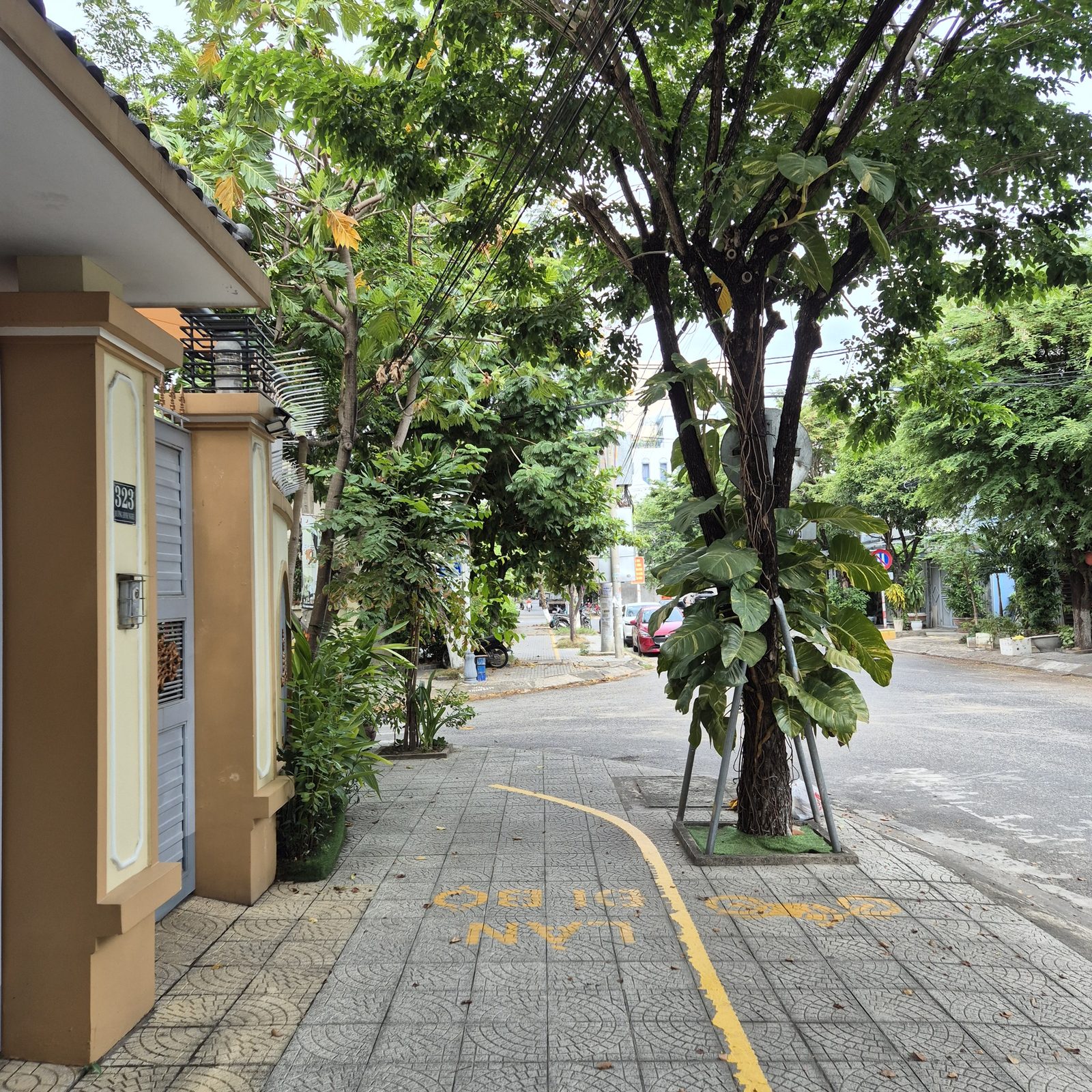 팜반동 보도의 보행 표시와 덩굴이 감긴 가로수, 건물 입구가 보이는 낮 거리